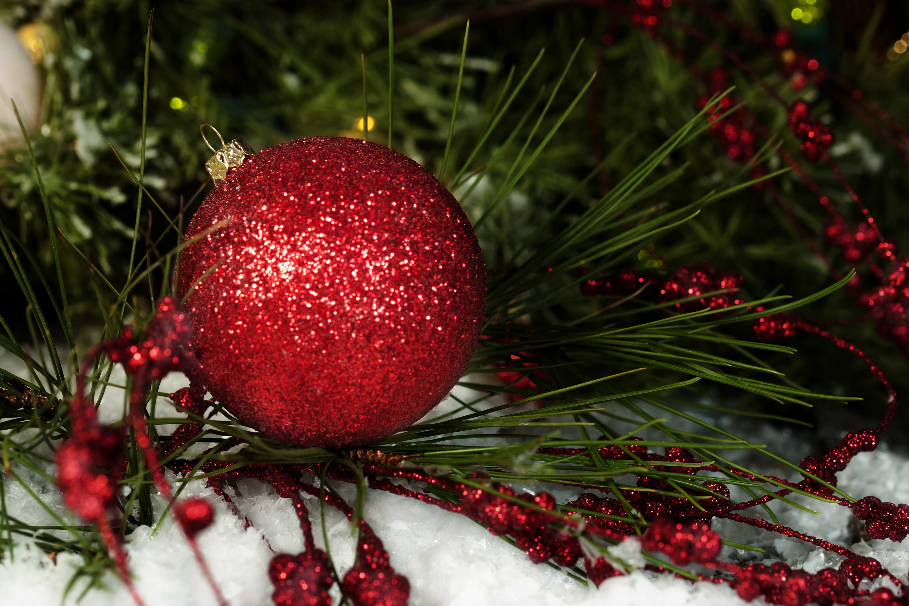 Red sparkling Christmas bauble laying on Christmas tree branch Christmas opening 2024/5