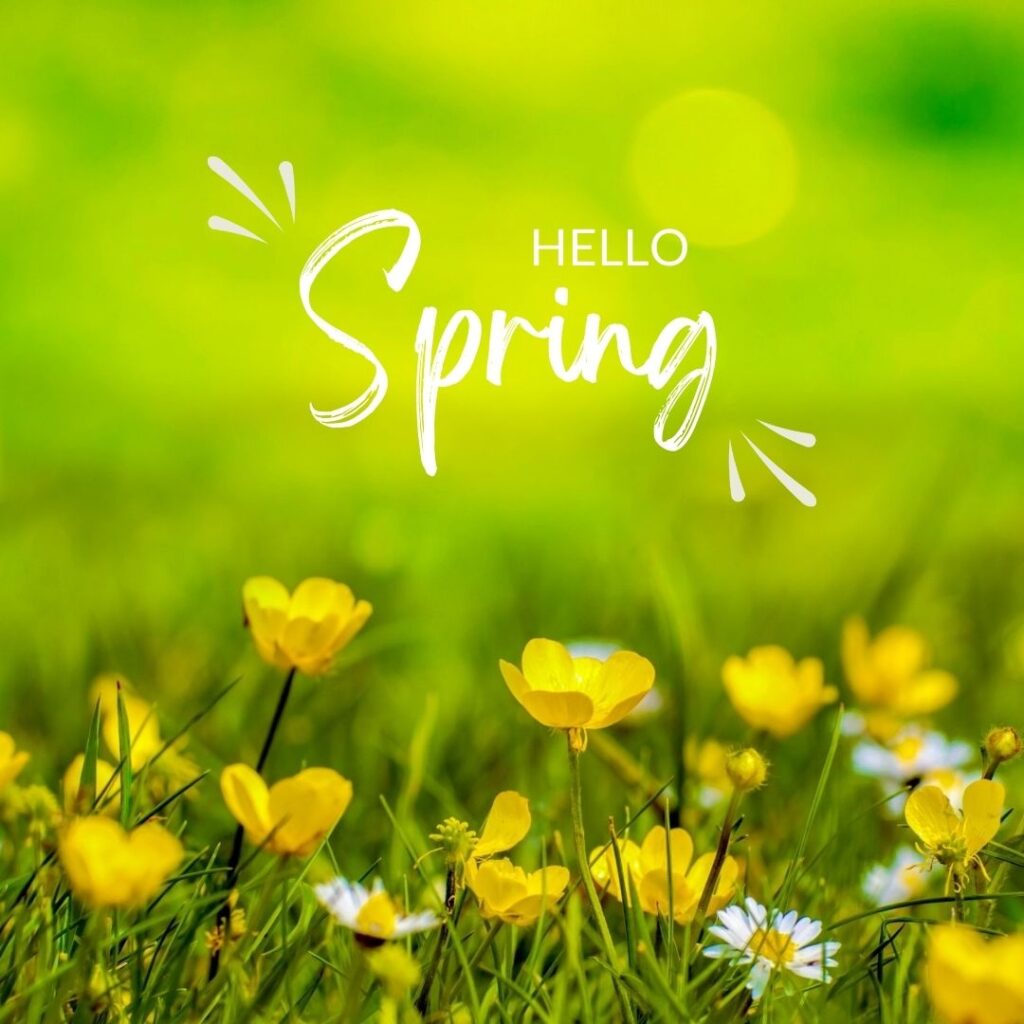 Green-Yellow-Flower-Animation-Hello-Spring-website