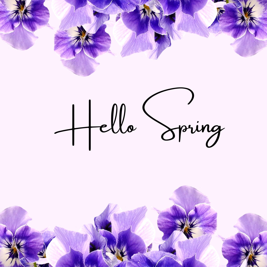 “Hello Spring text surrounded by purple pansy flowers at the top and bottom on a light pastel background.”
